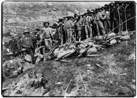 A scene from the royal hunts in the Gran Paradiso area, early 20th century A scene from the royal hunts in the Gran Paradiso area, early 20th century