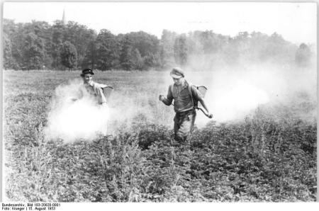 Children spraying DDT on fields to fight the potato beetle in East Germany