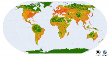 Dataset derived using the Digital Chart of the World 1993 version and methods based on the Australian National Wilderness Inventory (Lesslie, R. and Maslen, M. <i>National Wilderness Inventory Handbook</i>. 2nd edn, Australian Heritage Commission. Australian Government Publishing Service, Canberra, 1995). It is possible to download the full dataset (for non-commercial purposes) in the form of an ESRI grid on the <a href="datadownload.unep-wcmc.org/datasets" target="_blank">UNEP-WCMC website</a>. Global wilderness (in green)