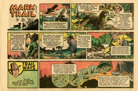 As the character Mark Trail states in this Sunday strip from around 1963, the strip conservatively avoided controversial issues and stuck to traditional values of conservation, but here artist Ed Dodd discusses the way pollutants concentrate as they work their way up the food chain to human consumers. Mark Trail comic strip.