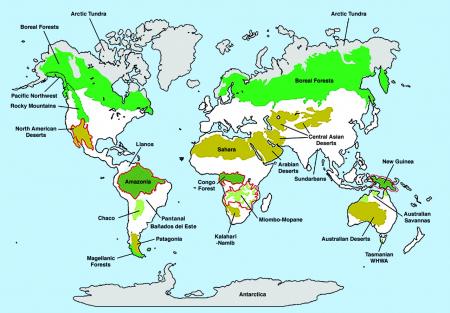 Extension of wilderness areas according to Mittermeier, R. A. et al. "Wilderness and biodiversity conservation", <i>PNAS </i>2003;100:10309-10313. © 2003 National Academy of Sciences. Extension of wilderness areas according to Mittermeier et al. (2003)