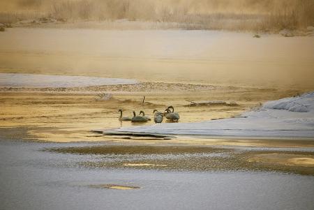 The head of the Tokachi River in Hokkaido (northern Japan).<a rel="license" href="http://creativecommons.org/licenses/by/3.0/" target="_blank">CC BY 3.0</a> Satoshi Sawada 2009. <a href="http://www.flickr.com/photos/s_sawada/4198618889/" target="_blank">View original source</a>. The head of the Tokachi River in Hokkaido (northern Japan)