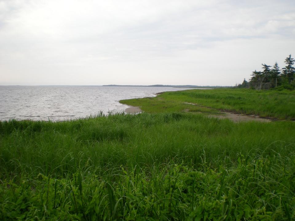 Removing the People The Creation of Canada’s Kouchibouguac National