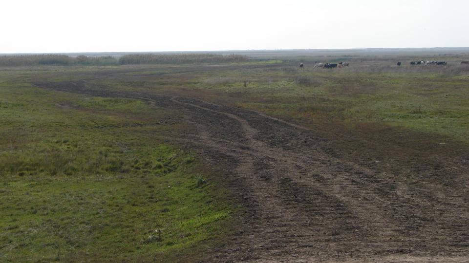 Vadon and Puszta—Hungarian Environment & Society Portal