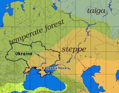 steppes map