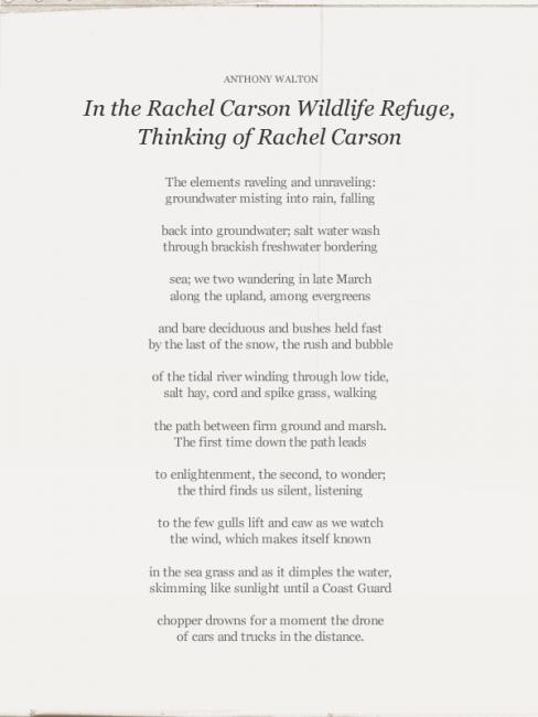 Poem by Anthony Walton (2011). 2011 Anthony Walton
This work is licensed under a Creative Commons Attribution-NoDerivs 3.0 Unported License.
