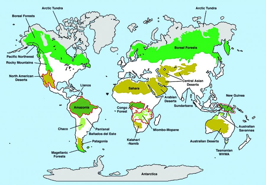 extension of wilderness areas according to mittermeier et al 2003