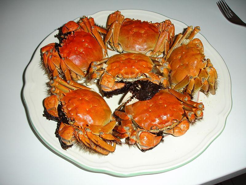A Crab’sEye View of the Food Chain in Contemporary China Environment