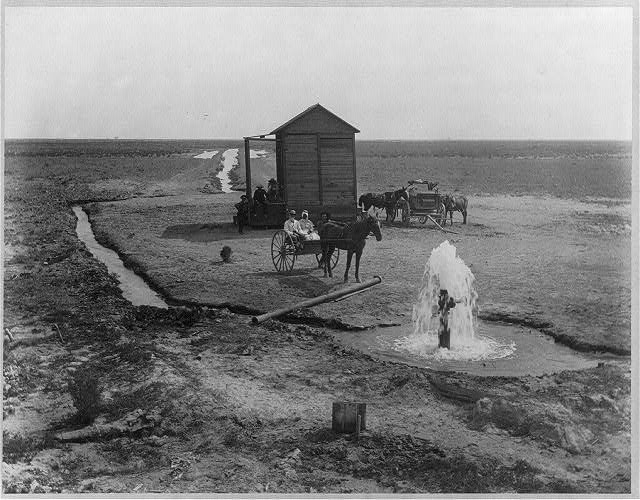 The Watering Of California S Central Valley Environment Society Horse Drawn