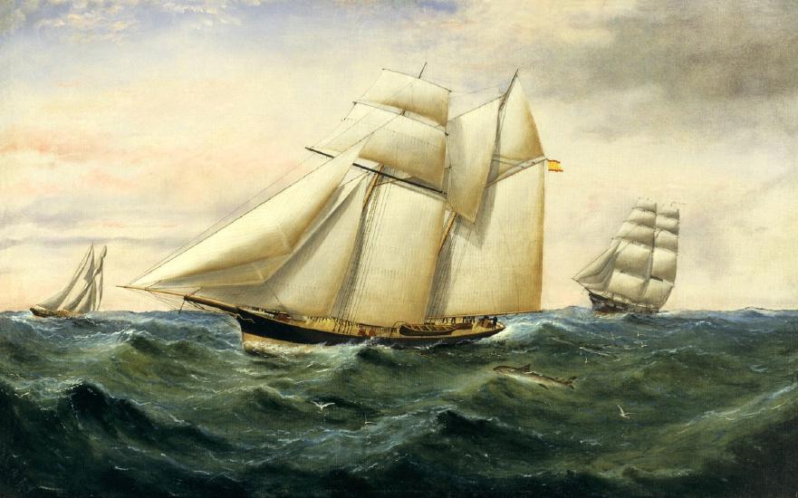 American Cockroaches, Racism, and the Ecology of the Slave Ship