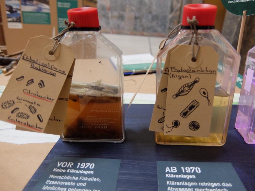 Munich And The Isar Environment Society Portal