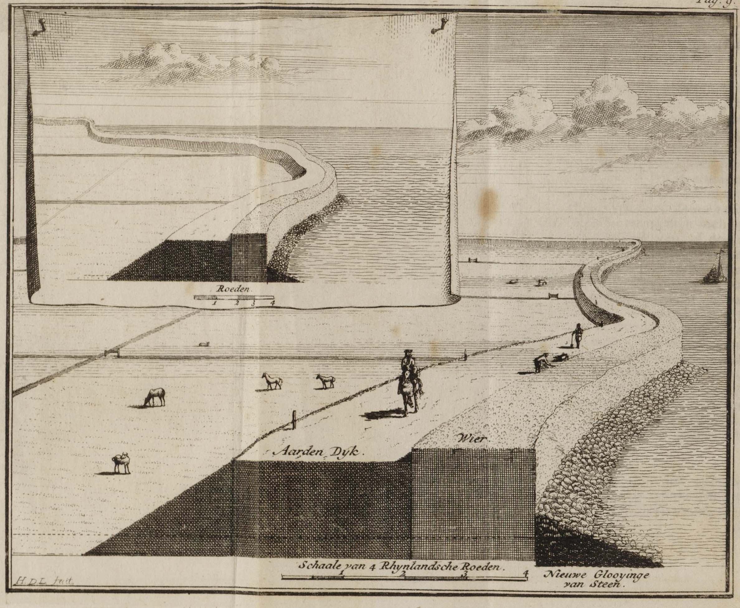 Molluscan explosion: the dutch shipworm epidemic of the 1730s ...