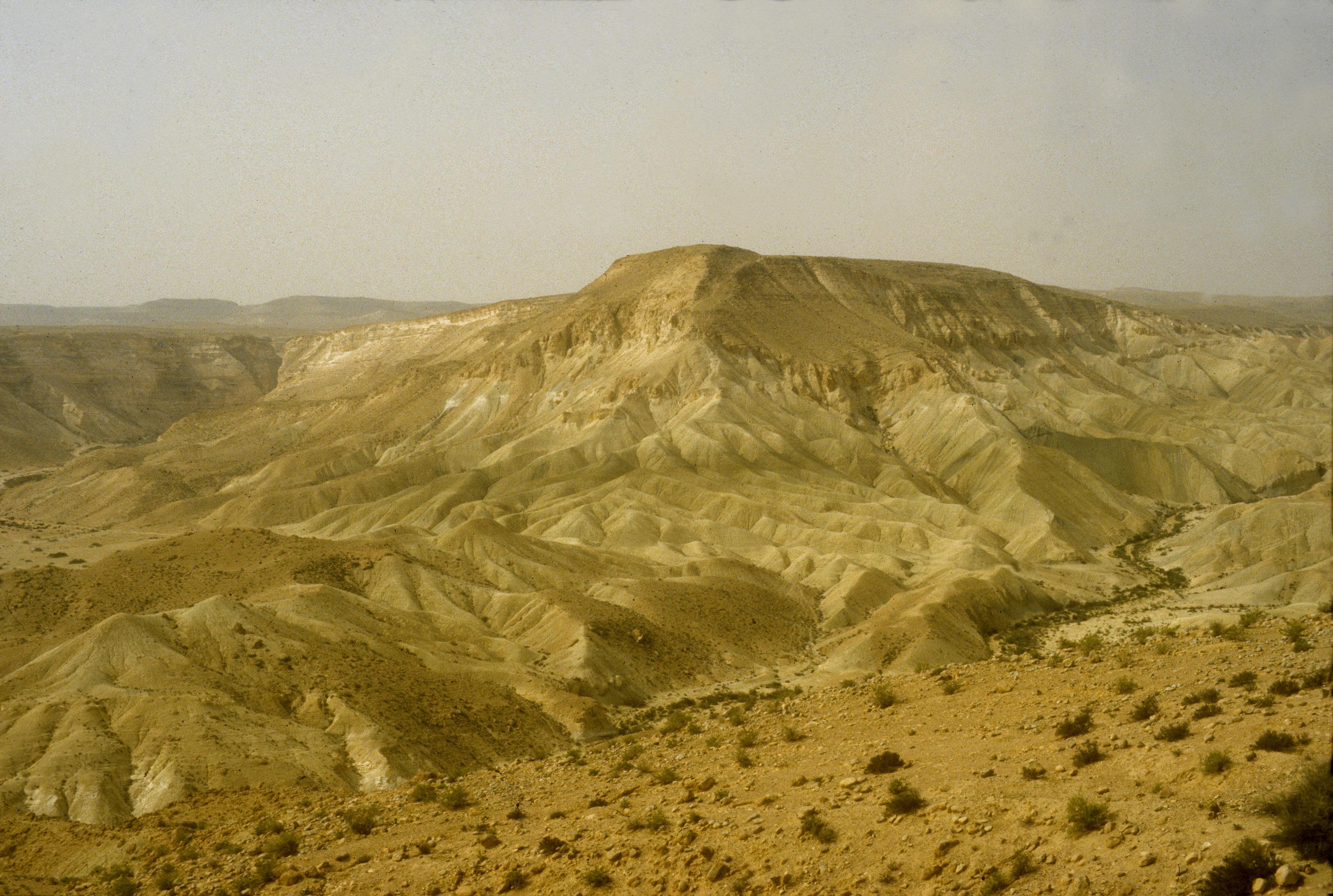 Midbar Arabah And Eremos—biblical Wilderness Environment And Society