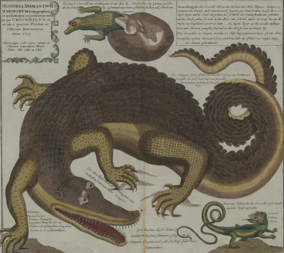 Broadsheet: “History of Sea Creatures,” 1753 | Environment & Society Portal