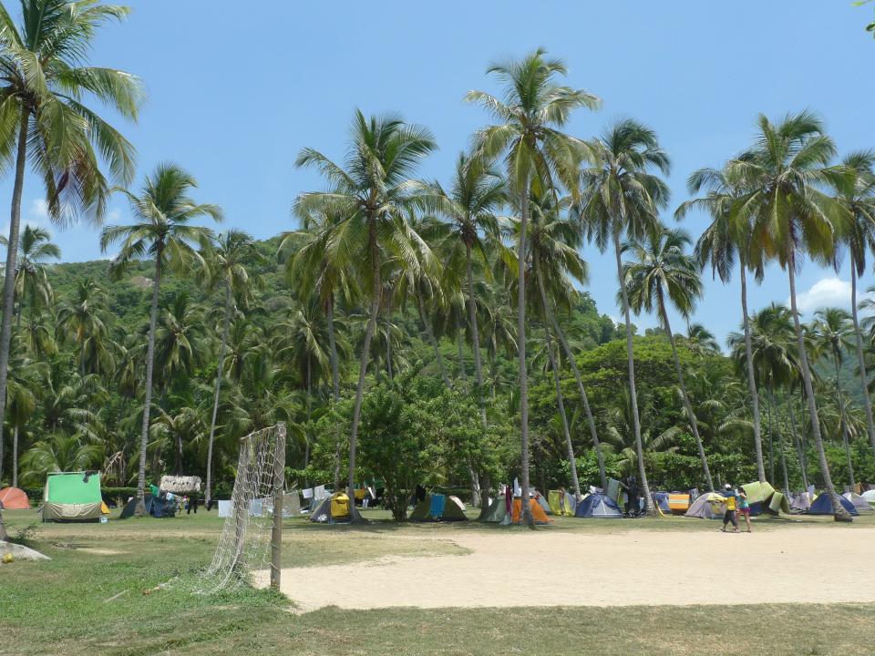young paradise portal