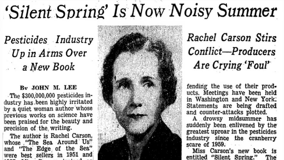 Watch Rachel Carson, American Experience, Official Site