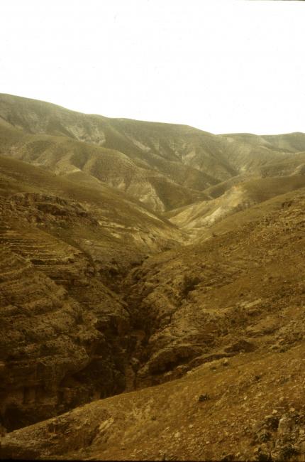 Midbar, Arabah and Eremos—Biblical Wilderness