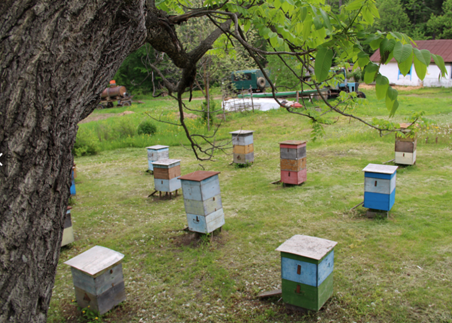 Beekeeping – From Science to Practice