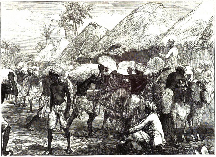 History and evolutions of agriculture through ages.