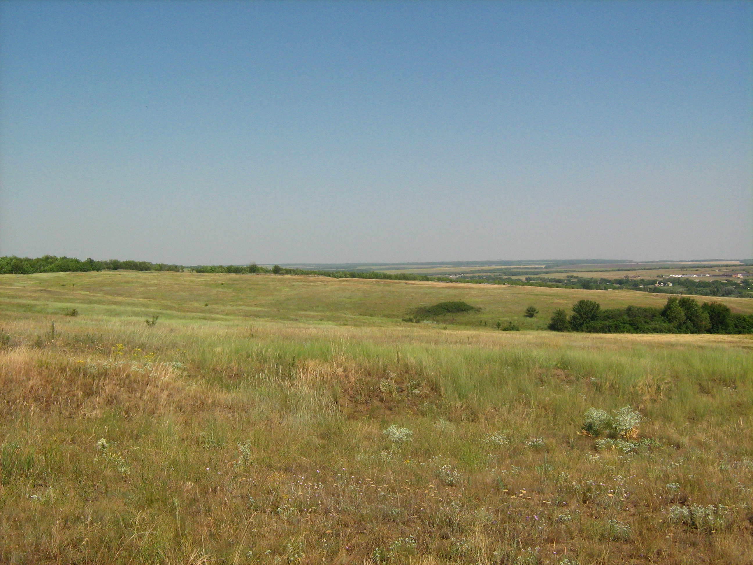 Ukraine and Camels: Features of the Incorporation into the Steppe ...